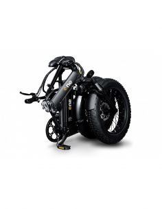 RIDER 2